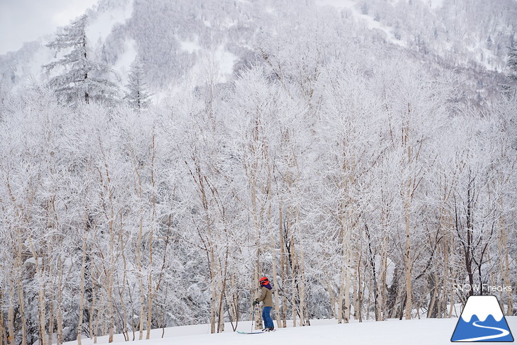 札幌国際スキー場 Welcome back POWDER SNOW !! ～パウダースノー復活～